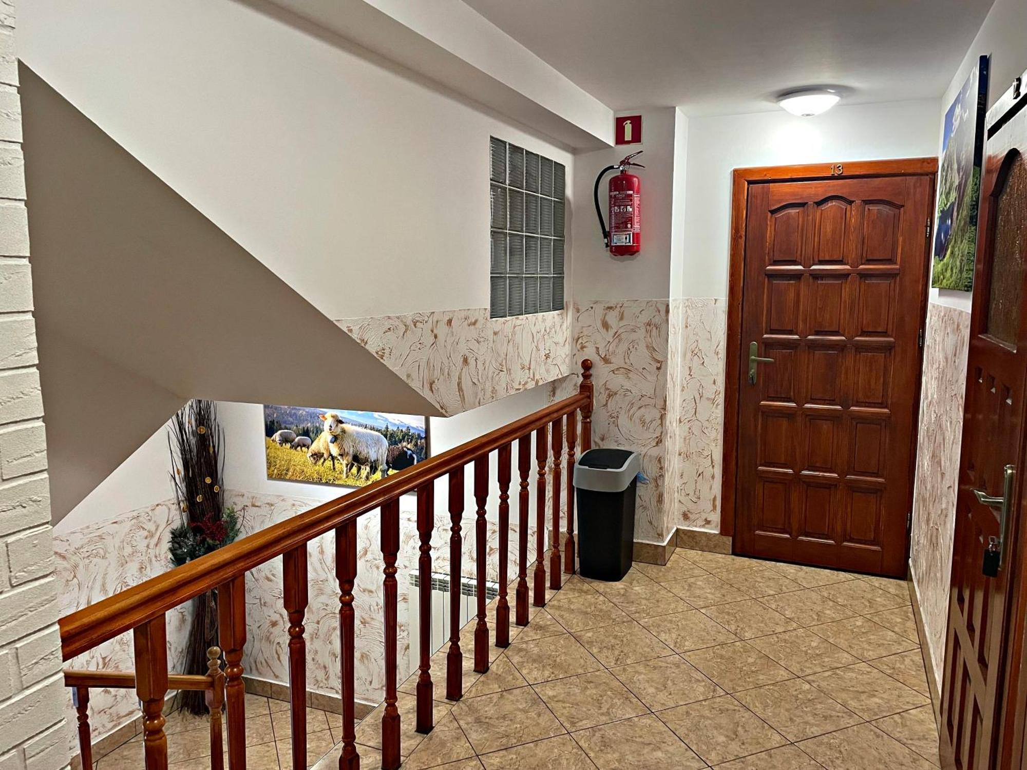 Bed and Breakfast D.W. Tatra House Zakopane Esterno foto
